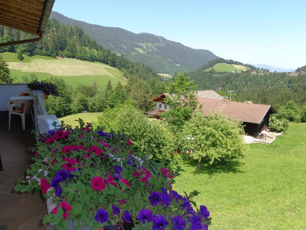 Haus Enzian Hotel Thiersee Kültér fotó
